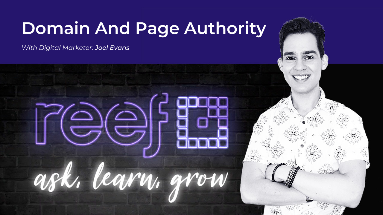 Domain And Page Authority: Are They Important For SEO Performance?